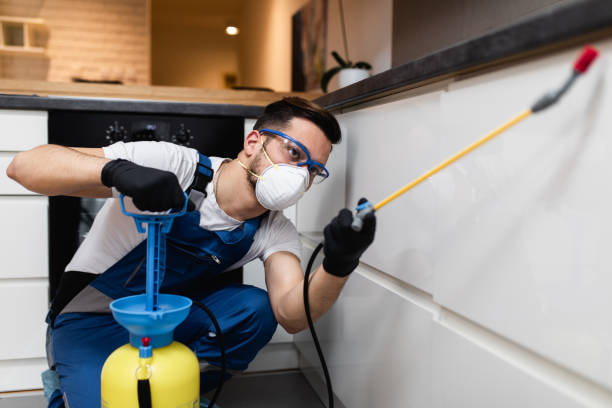 Best Cockroach Control Services  in Longbranch, WA