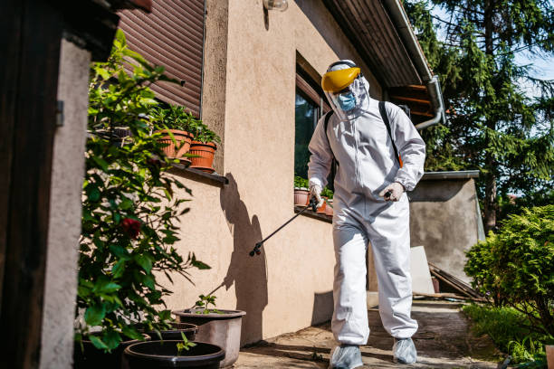 Best Bird Control  in Longbranch, WA