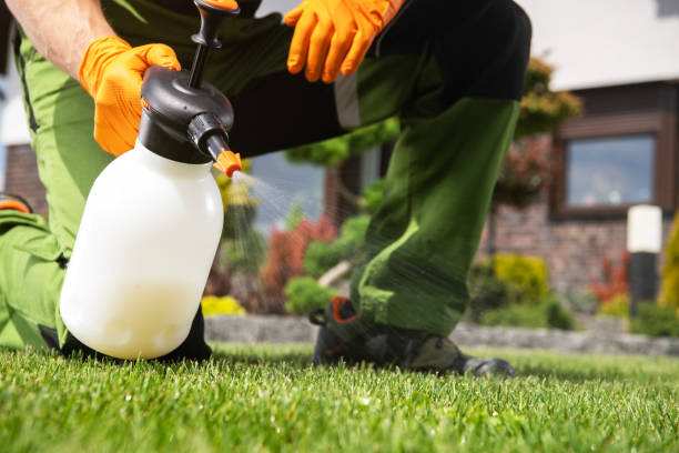 Best Wasp Removal Services  in Longbranch, WA