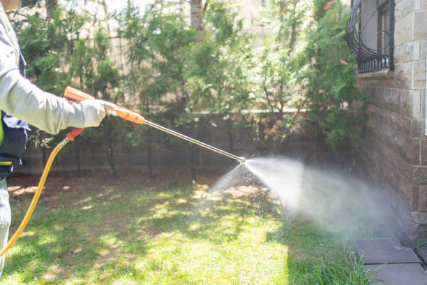 Trusted Longbranch, WA Pest Control Experts