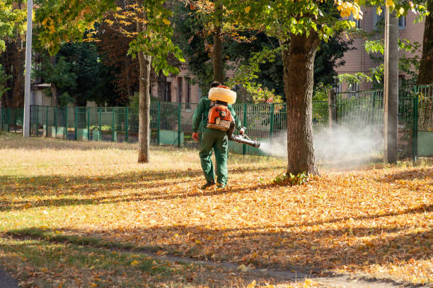 Best Best Pest Control Companies  in Longbranch, WA