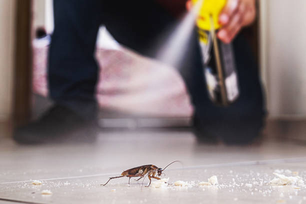 Best Pest Control Near Me  in Longbranch, WA